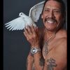 Danny trejo Holding a dove - @foxhound241 - Poshmark